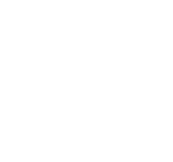light logo